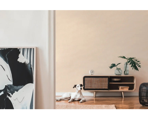 Wohnzimmer mit Holzschrank, Dekoration, Kunstwerk und einem Hund auf einem Teppich.