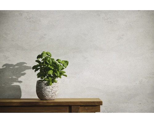 Basilikumpflanze in Topf auf einem Holztisch