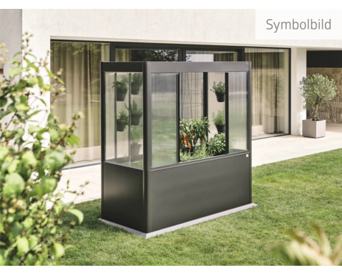 Gewächshaus im Garten mit Pflanzen