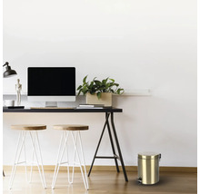 Szene mit Schreibtisch, Stühlen, Computermonitor, Pflanze und einem Metalleimer mit Tretpedal.