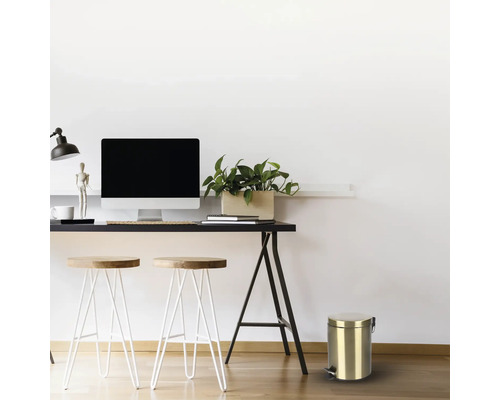 Szene mit Schreibtisch, Stühlen, Computermonitor, Pflanze und einem Metalleimer mit Tretpedal.