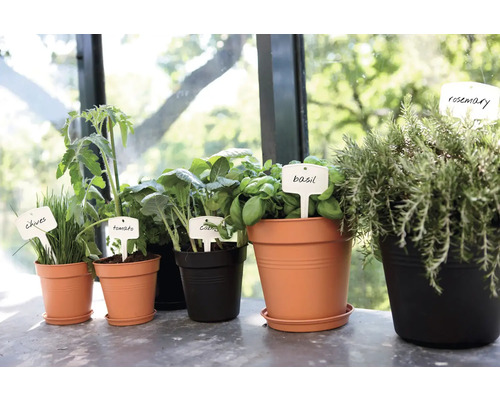 Arrangement von Kräutern und Gemüsepflanzen in Töpfen mit Pflanzenschildern