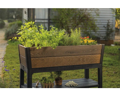 Hochbeet aus Holz und Metall mit Pflanzen bepflanzt im Garten.