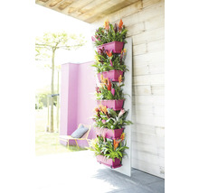 Vertikaler Garten mit rosa Pflanzgefäßen und blühenden Bromelien an einer Holzwand auf einer Terrasse.