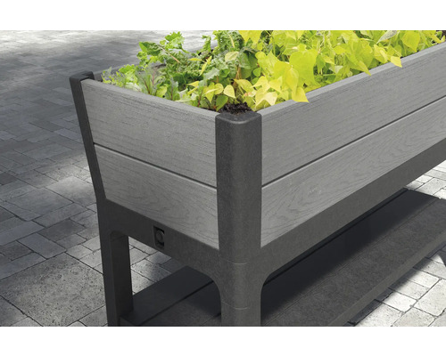 Hochbeet aus Kunststoff mit Pflanzen