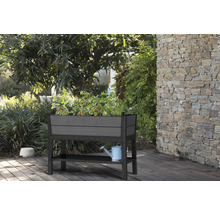 Hochbeet mit Pflanzen und Gießkanne im Garten