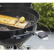 Grill mit Lachs auf Holzbrett, Zitrone und Thermometer