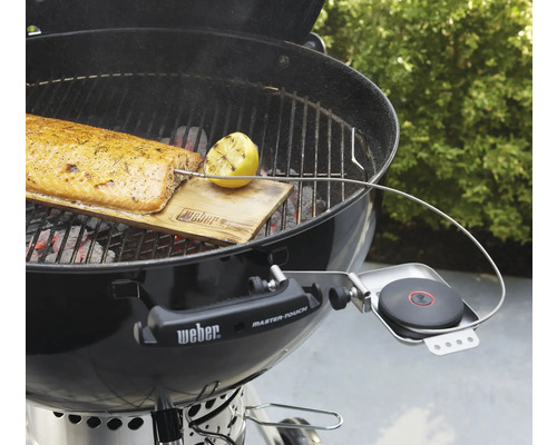 Grill mit Lachs auf Holzbrett, Zitrone und Thermometer