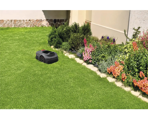 Rasenmähroboter auf einem Rasen neben einem Blumenbeet