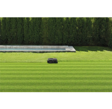 Rasenroboter auf einem gepflegten Rasen neben einem Pool und einer Hecke