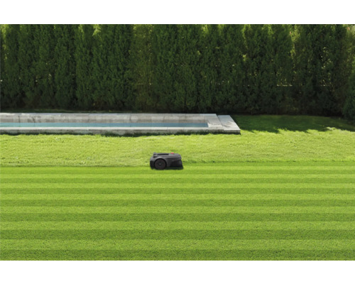 Rasenroboter auf einem gepflegten Rasen neben einem Pool und einer Hecke