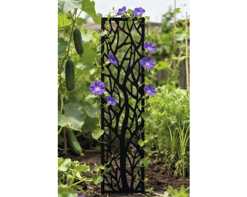 Dekorative Rankhilfe mit blühenden Kletterpflanzen im Garten.