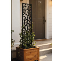 Holzpflanzgefäß mit Rankgitter vor einem Haus