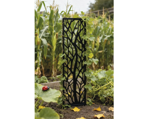 Gartenszene mit Rankhilfe aus Metall und Pflanzenbewuchs