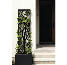 Sichtschutzwand mit Pflanzenkasten und Kletterpflanze vor einem Hauseingang