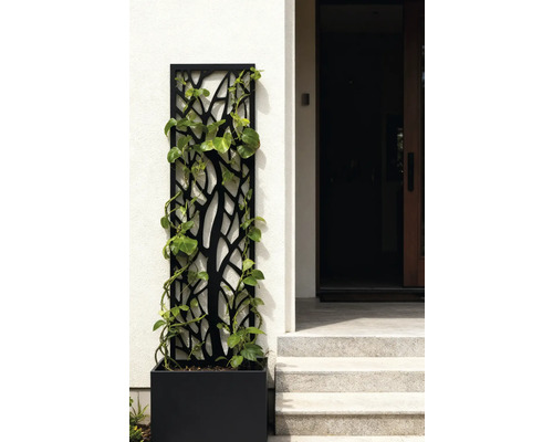 Sichtschutzwand mit Pflanzenkasten und Kletterpflanze vor einem Hauseingang