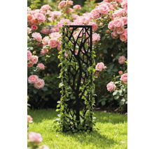 Dekorative Rankhilfe aus Metall im Garten mit Kletterpflanze