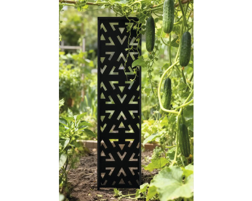 Dekorative Sichtschutzwand aus Metall im Garten neben Gurkenpflanzen