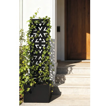 Dekorativer Pflanzkasten mit geometrischem Muster und Efeu vor einem Hauseingang.