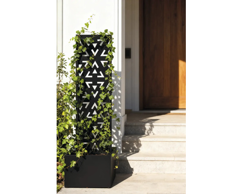 Dekorativer Pflanzkasten mit geometrischem Muster und Efeu vor einem Hauseingang.