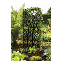 Dekorativer Sichtschutz aus Metall mit Pflanzen im Garten.