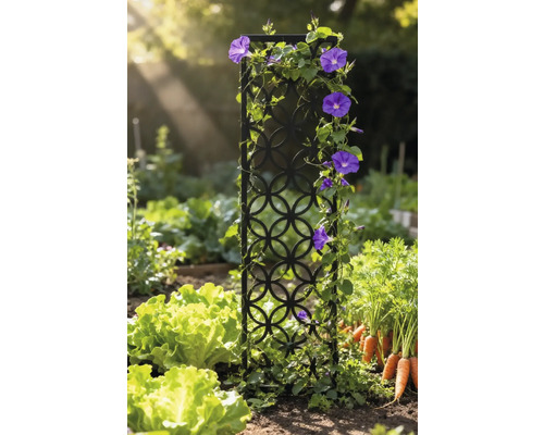 Gartenszene mit Rankgitter, bepflanzt mit blühenden Kletterpflanzen, umgeben von Salat und Karotten