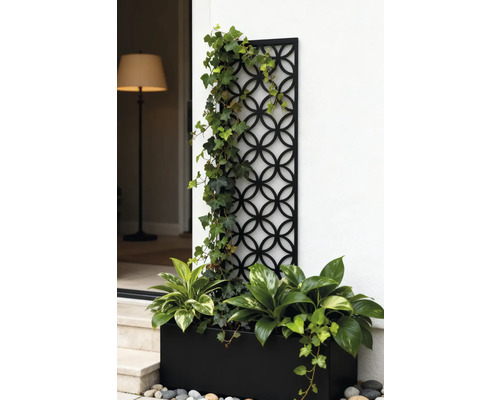 Dekorative Gartenszene mit Rankgitter, Pflanzen und Pflanzgefäß für den Außenbereich