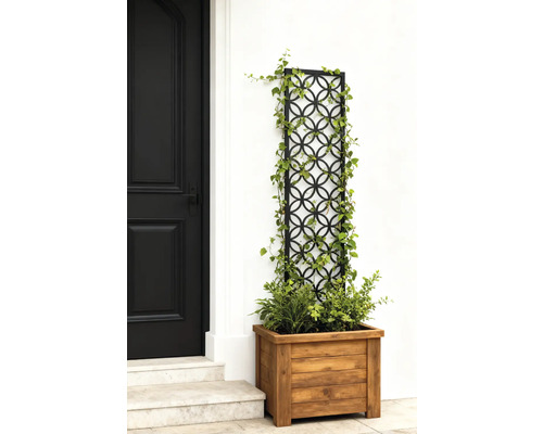 Dekorative Holzpflanzkiste mit Rankgitter an einer Hauswand
