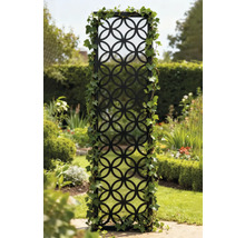 Dekoratives Gartenelement mit kreisförmigem Muster und Kletterpflanzen in einem Garten.