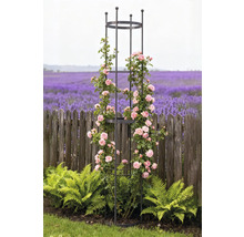 Metall-Rankhilfe mit Rosen im Garten