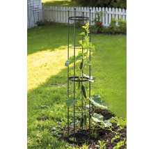 Gartenszene mit einer Rankhilfe und Gurkenpflanze im Gartenbeet.