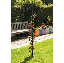 Gartenansicht mit Rosenbogen und zwei Haken