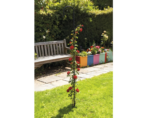 Gartenansicht mit Rosenbogen und zwei Haken