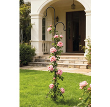 Rosenbogen mit Rosenpflanze im Garten