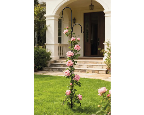 Rosenbogen mit Rosenpflanze im Garten