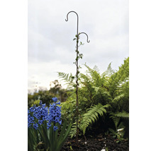 Gartenansicht mit Pflanzenhänger und Blumen