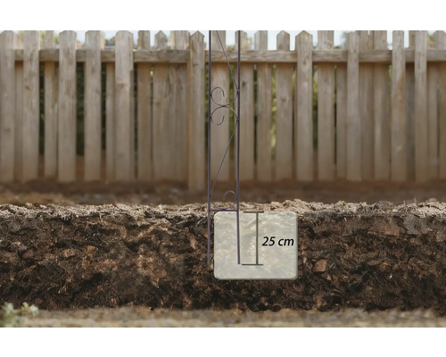 Metall Pflanzstütze mit 25 Zentimeter Erdspieß im Gartenbeet vor einem Holzzaun