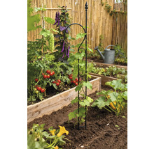 Gemüsegarten mit Rankhilfe für Pflanzen