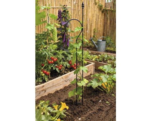 Gemüsegarten mit Rankhilfe für Pflanzen