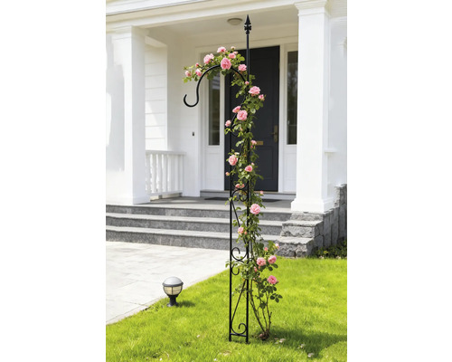 Rosenbogen aus Metall mit Rosen vor einem Haus