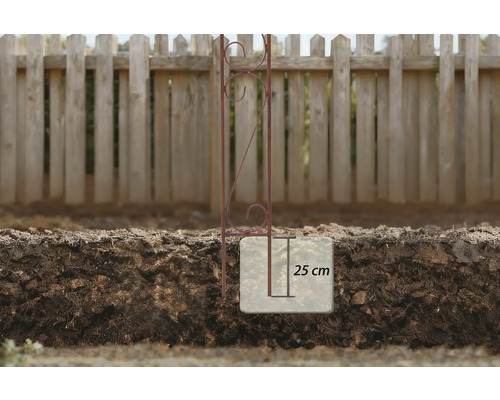 Metall-Pflanzstütze mit einer Einbautiefe von 25 cm im Boden
