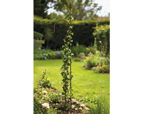 Metall-Pflanzenstütze mit Efeu im Garten