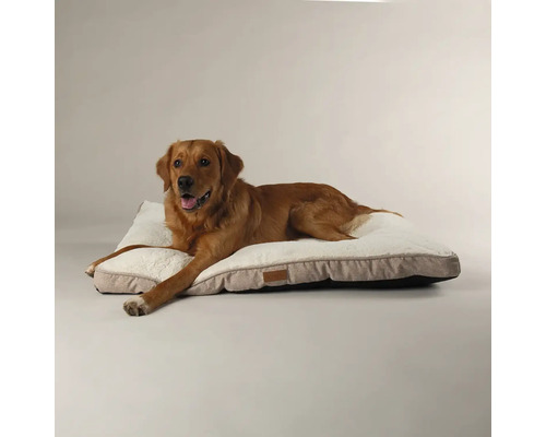 Golden Retriever liegt auf einem Hundebett.