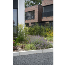 Garten mit verschiedenen Pflanzen und Sträuchern vor einem modernen Backsteingebäude