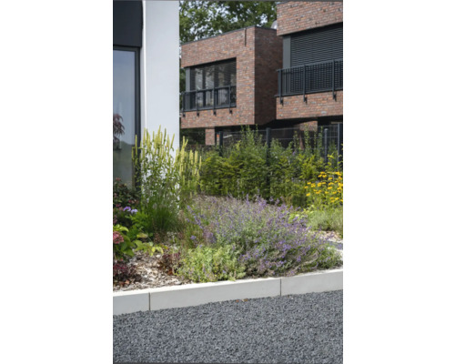 Garten mit verschiedenen Pflanzen und Sträuchern vor einem modernen Backsteingebäude