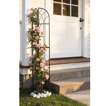 Metall-Rankhilfe mit Rosen vor einer Haustür