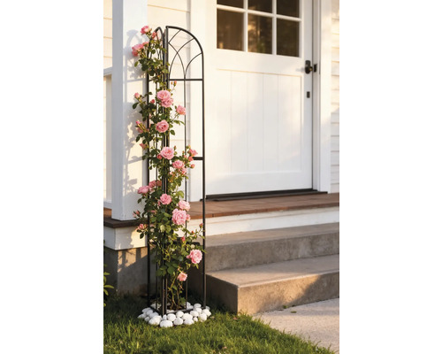 Metall-Rankhilfe mit Rosen vor einer Haustür