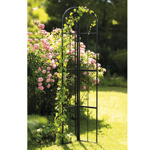 Gartenszene mit schwarzer Rosenbogen-Rankhilfe und Kletterpflanze vor Rosenstrauch