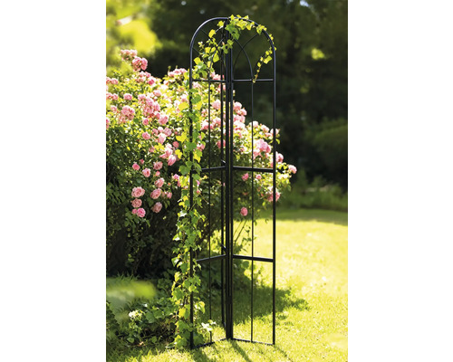 Gartenszene mit schwarzer Rosenbogen-Rankhilfe und Kletterpflanze vor Rosenstrauch