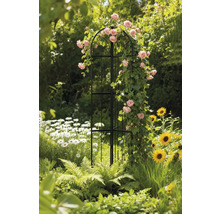 Gartenszene mit Rosenbogen, bewachsen mit Rosen